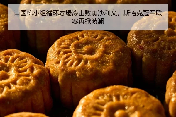 xiao-guo-dong-xiao-zu-xun-huan-sai-bao-leng-ji-bai-ao-sha-li-wen-si-nuo-ke-guan-jun-lian-sai-zai-xian-bo-lan-2-502.jpg