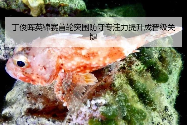 丁俊晖英锦赛首轮突围防守专注力提升成晋级关键