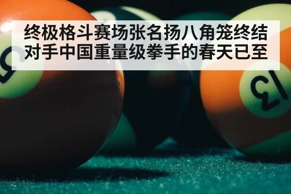 终极格斗赛场张名扬八角笼终结对手中国重量级拳手的春天已至